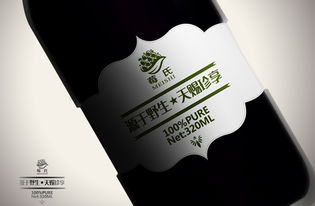 莓氏野生藍莓果汁“靈智飛揚” 品牌設計的力量